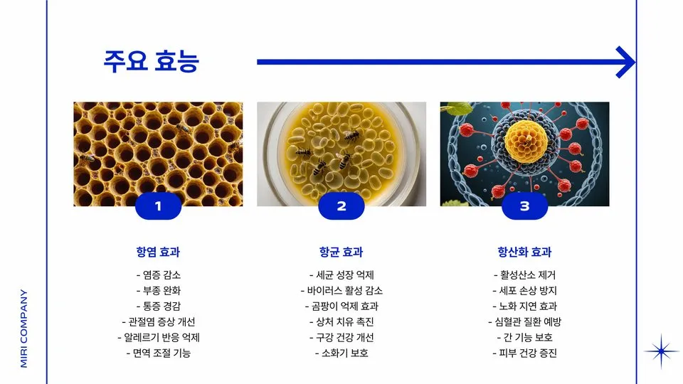 벌주의 효능 이미지 8