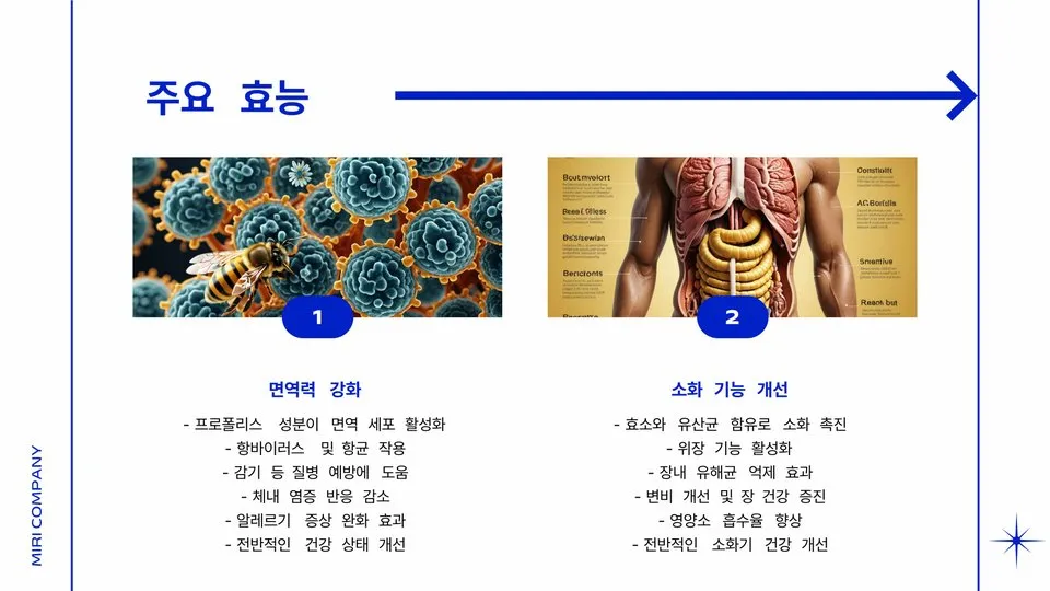 벌주의 효능 이미지 7