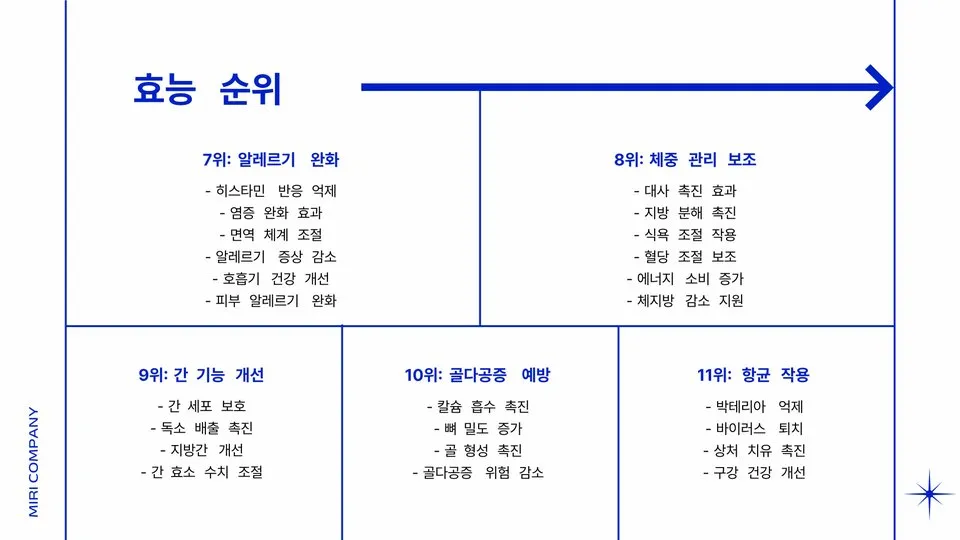 벌주의 효능 이미지 10