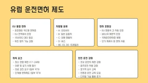 운전면허 이미지 12