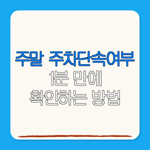 주말 주차단속여부1분 만에확인하는 방법