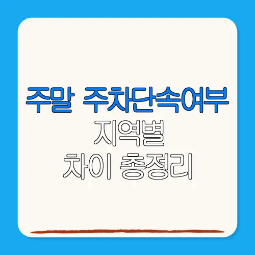 주말 주차단속여부지역별차이 총정리