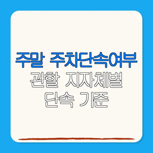 주말 주차단속여부관할 지자체별단속 기준