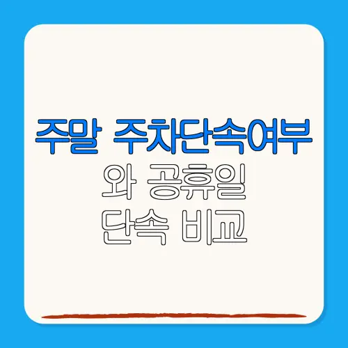 주말 주차단속여부와 공휴일단속 비교