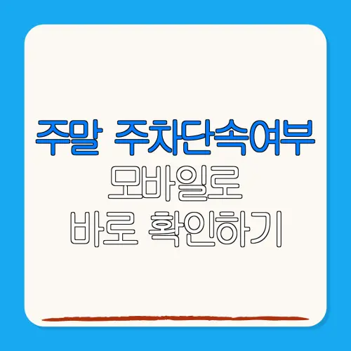 주말 주차단속여부모바일로바로 확인하기