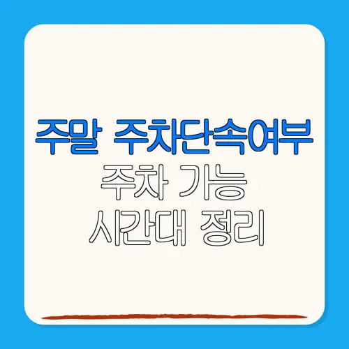 주말 주차단속여부주차 가능시간대 정리