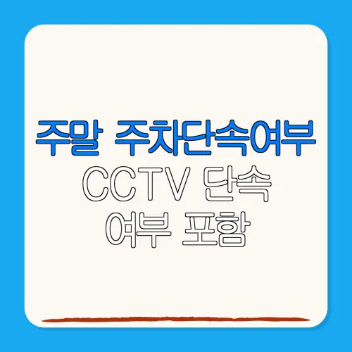 주말 주차단속여부CCTV 단속여부 포함