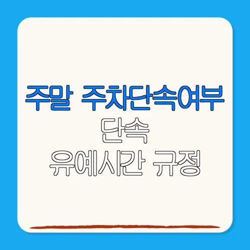 주말 주차단속여부단속유예시간 규정