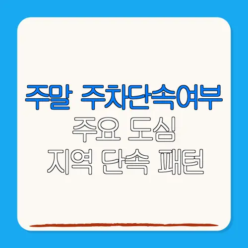 주말 주차단속여부주요 도심지역 단속 패턴