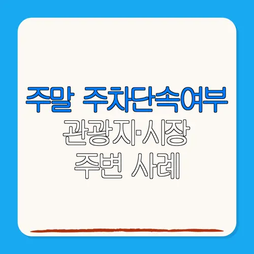 주말 주차단속여부관광지·시장주변 사례