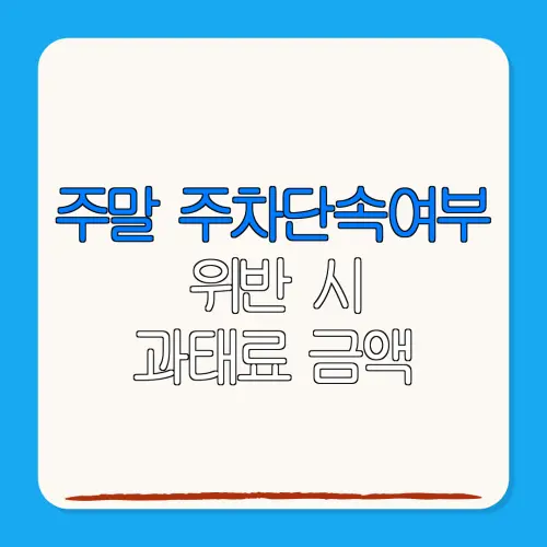 주말 주차단속여부위반 시과태료 금액