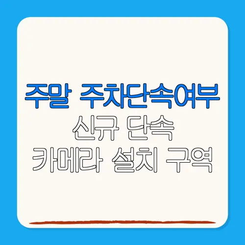 주말 주차단속여부신규 단속카메라 설치 구역