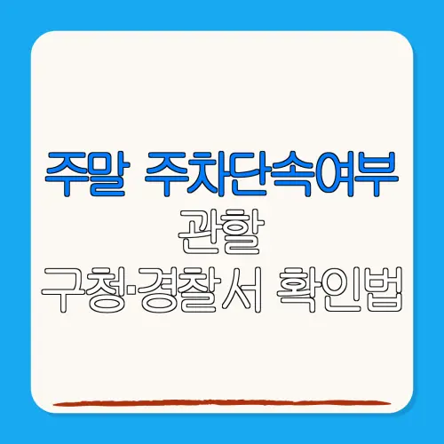 주말 주차단속여부관할구청·경찰서 확인법