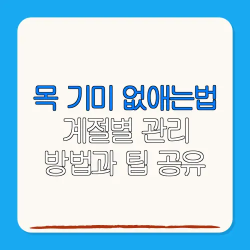 목 기미 없애는법계절별 관리방법과 팁 공유