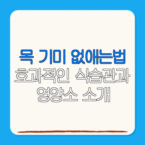 목 기미 없애는법효과적인 식습관과영양소 소개