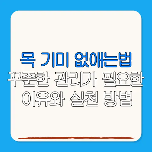 목 기미 없애는법꾸준한 관리가 필요한이유와 실천 방법